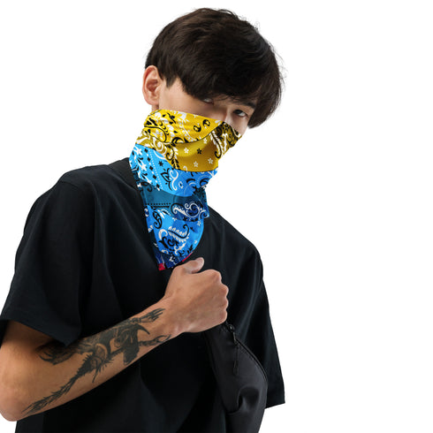Pansexual Pride Waves Bandana